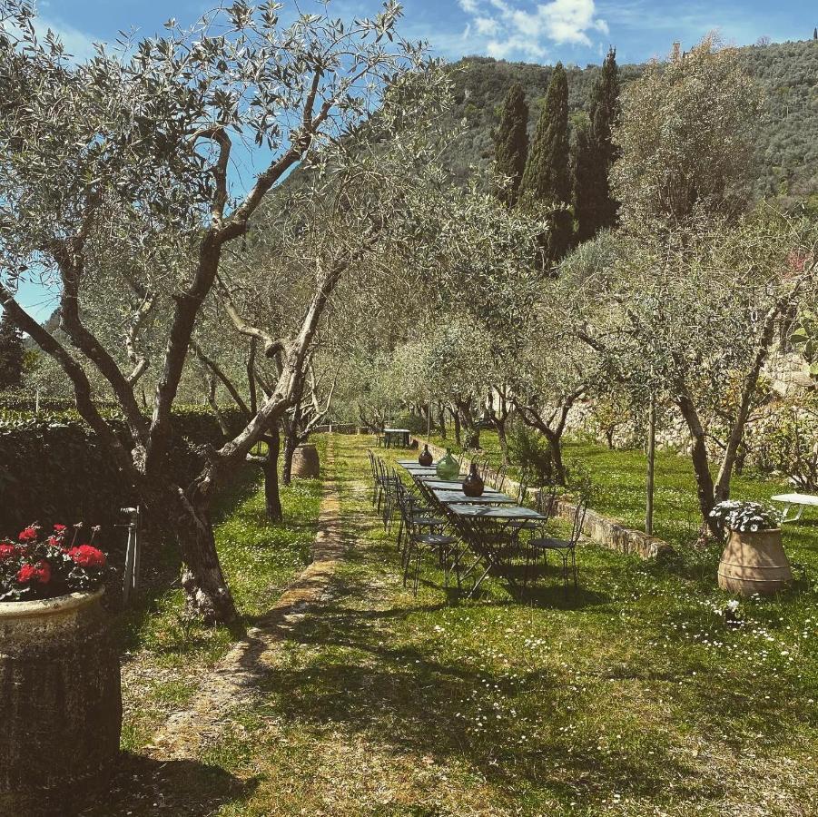 קמאיורה Sotto Il Cielo Di Toscana Appartamenti In Tenuta Only Adults No Pet מראה חיצוני תמונה