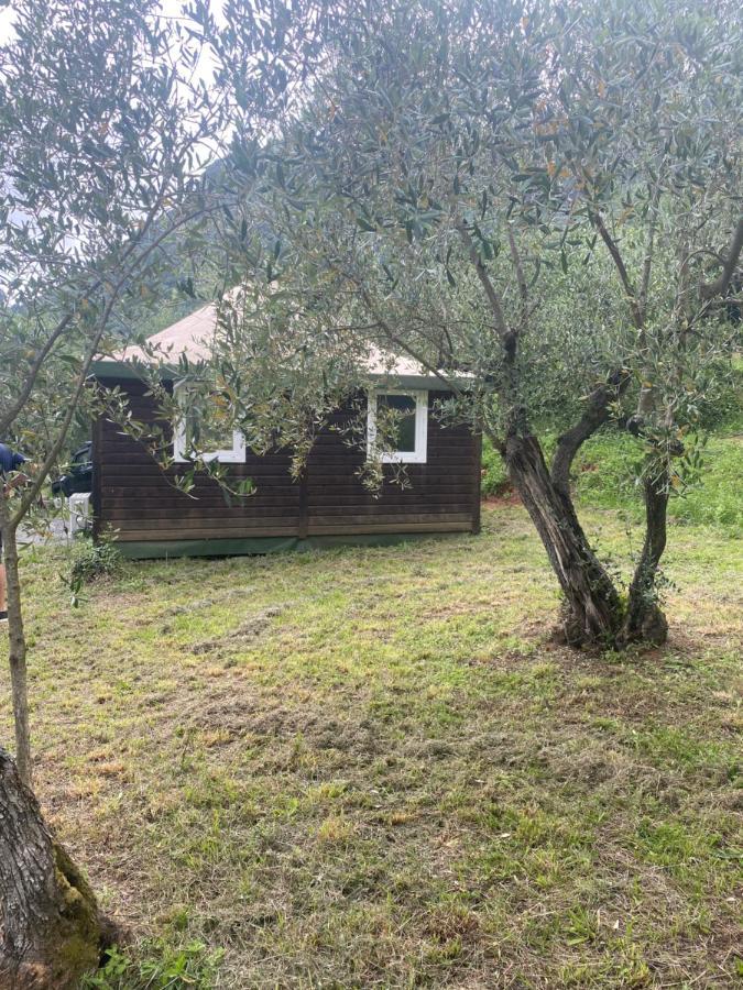 קמאיורה Sotto Il Cielo Di Toscana Appartamenti In Tenuta Only Adults No Pet מראה חיצוני תמונה