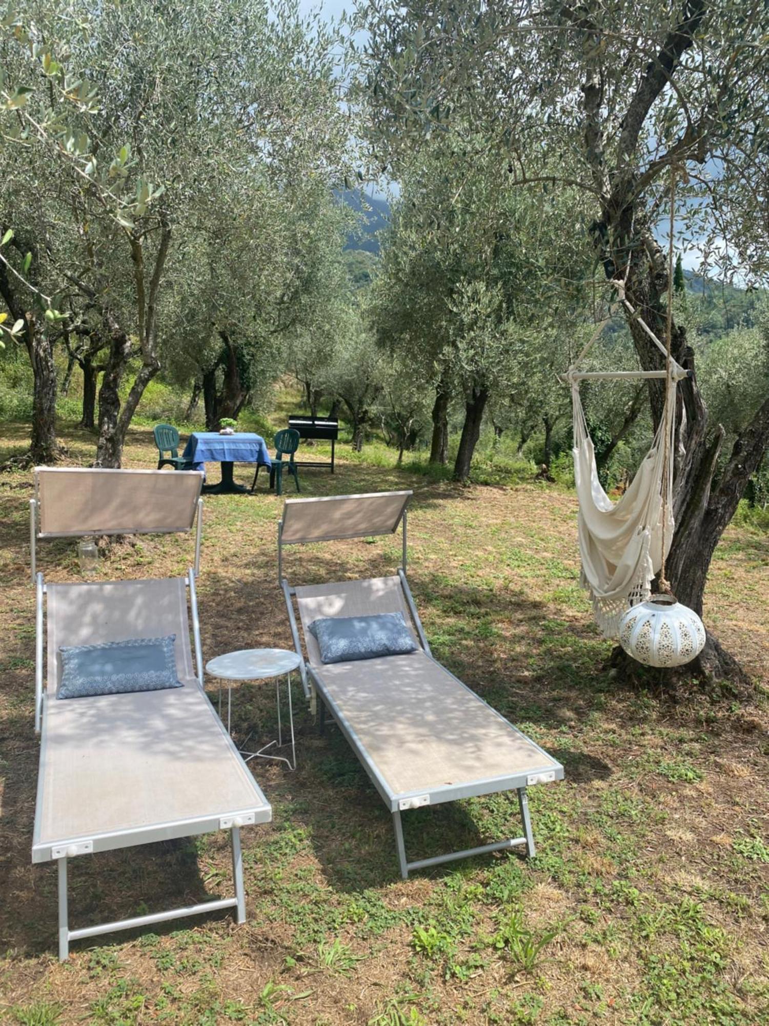 קמאיורה Sotto Il Cielo Di Toscana Appartamenti In Tenuta Only Adults No Pet מראה חיצוני תמונה